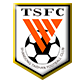 Shandong Taishan
