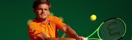 Panorámica de David Goffin