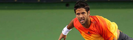 Panormica de Fernando Verdasco