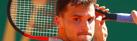 Panormica de Grigor Dimitrov