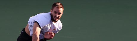 Panormica de Viktor Troicki